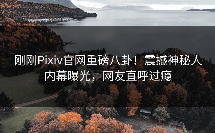 刚刚Pixiv官网重磅八卦！震撼神秘人内幕曝光，网友直呼过瘾