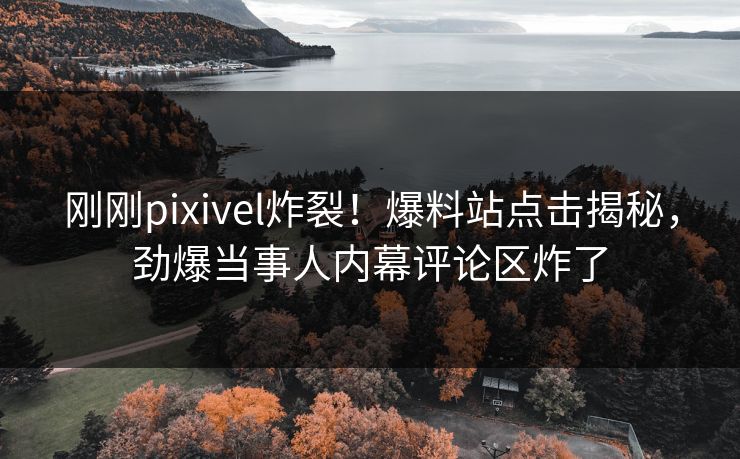 刚刚pixivel炸裂！爆料站点击揭秘，劲爆当事人内幕评论区炸了