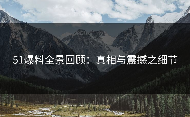 51爆料全景回顾：真相与震撼之细节
