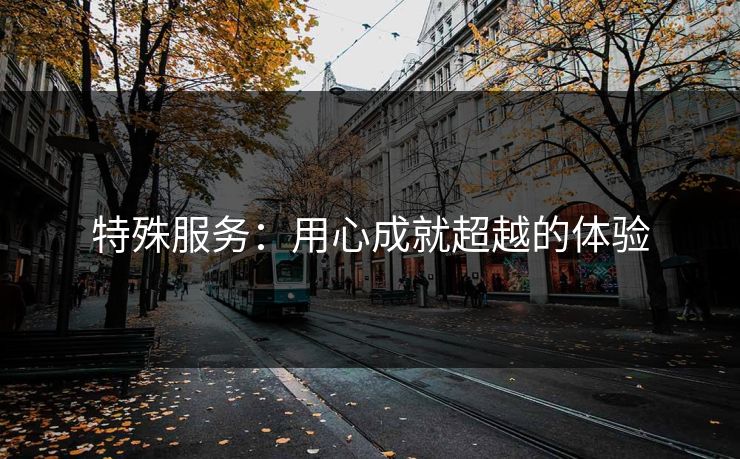 特殊服务：用心成就超越的体验
