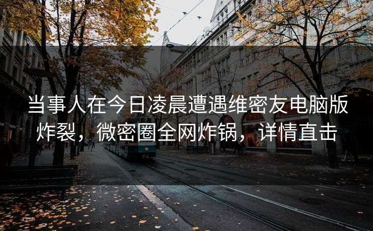 当事人在今日凌晨遭遇维密友电脑版炸裂，微密圈全网炸锅，详情直击