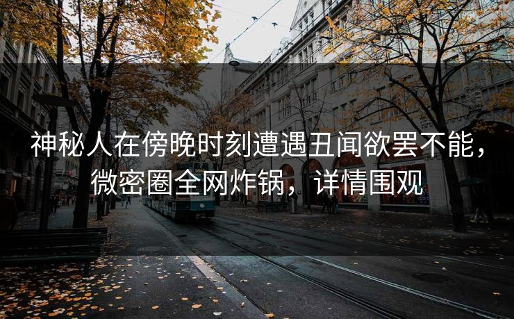神秘人在傍晚时刻遭遇丑闻欲罢不能，微密圈全网炸锅，详情围观